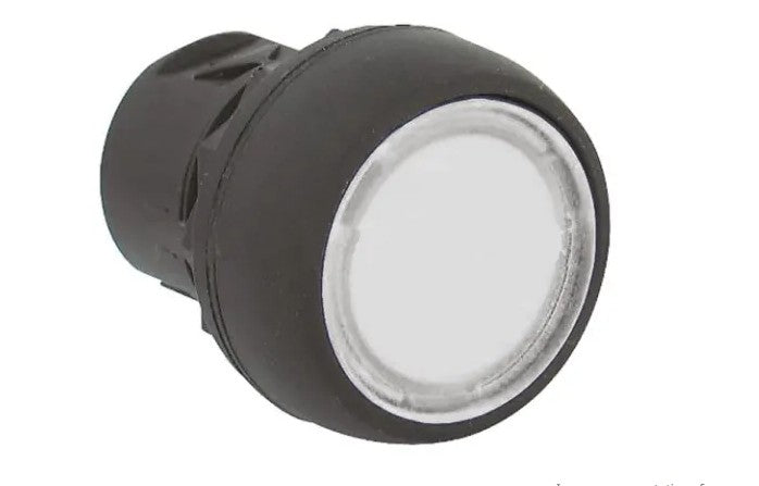 NS-DPP-0194694